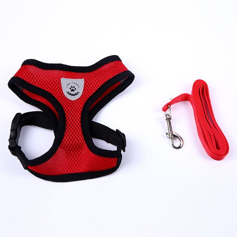 Red-S -Harnais Et Laisse Pour Animaux Domestiques, À Mailles Respirantes, Pour Petits Chiens, Collier Pour Chiots Et Chats, Pour Chi