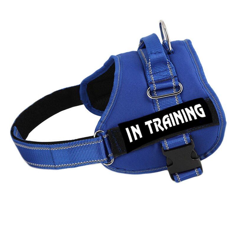 Blue No Tags-Xs -Nylon Réfléchissant Chien Harnais Personnalisé Nom Étiquettes Respirant Chien Harnais Laisse Ensemble Collier De Ch