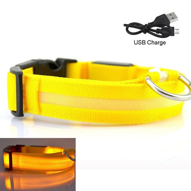 Yellow-Xl -Collier Et Laisse Pour Chiens, Accessoire Lumineux Clignotant Lumière Led, Chargeur Usb, Fournitures Pour Chiots, Petits