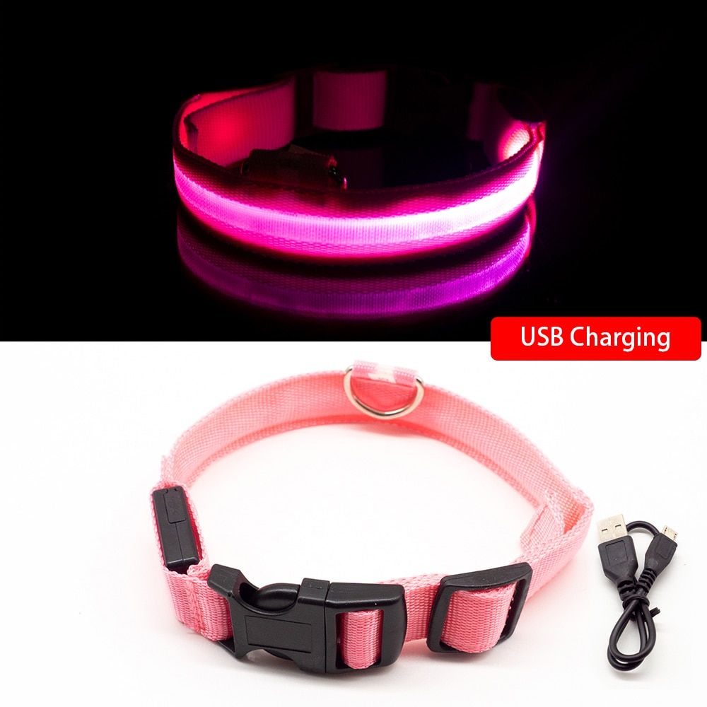 Usb Pink-M -Led En Nylon Collier De Chien De Compagnie Usb Charge Chien Sécurité Veilleuse Anti Perte/Accident De Voiture Éviter Col