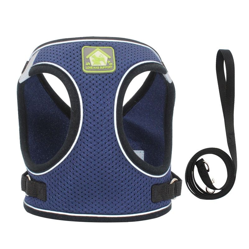 Deep Blue-M -Harnais En Nylon Réfléchissant Pour Chien Et Chat, Ensemble De Harnais Et De Laisse Pour Chihuahua, Carlin, Petit Et Mo