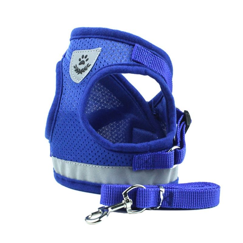 Blue Mesh-Xl -Harnais À Carreaux Pour Chats, À La Mode, Ensemble Harnais Et Laisse En Maille Pour Animaux De Compagnie, Produits De