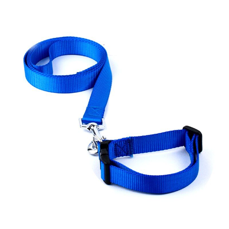 Blue Set-M -Collier De Chien De Couleur Unie En Nylon  Offre Spéciale, Ajustable, Pour Animal Domestique, Chiot Chat, Laisse, Ensem