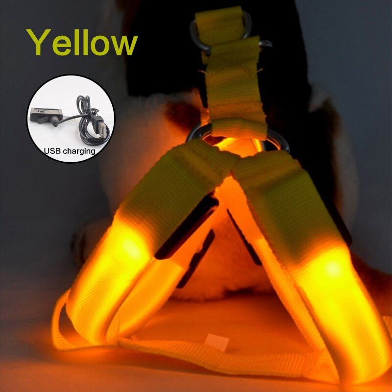 Yellow-Xl 62-68cm -Led Usb Rechargeable Chien Harnais Petit Moyen Réglable En Nylon Collier De Chien De Compagnie Lumière Led Nuit S