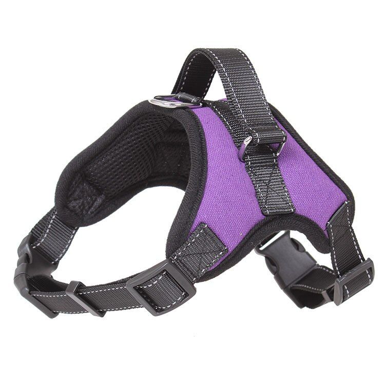 Purple-Xl -Harnais En Nylon Réfléchissant Pour Chien, Gilet Pour Petit, Moyen Et Grand Gabarit, Ensemble Harnais Et Laisse Pour Anim