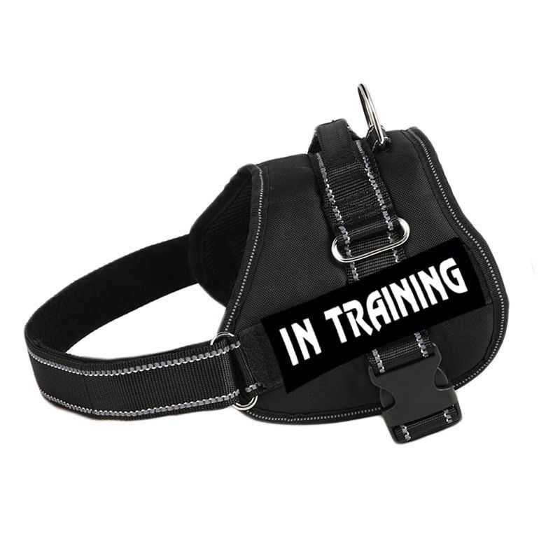 Meilleurs prix pour Upgrade A16 Black-M -Harnais De Chien En Nylon Réglable Collier De Chien Réfléchissant Harnais De Chien Personnalisé Et Laisse Ensem