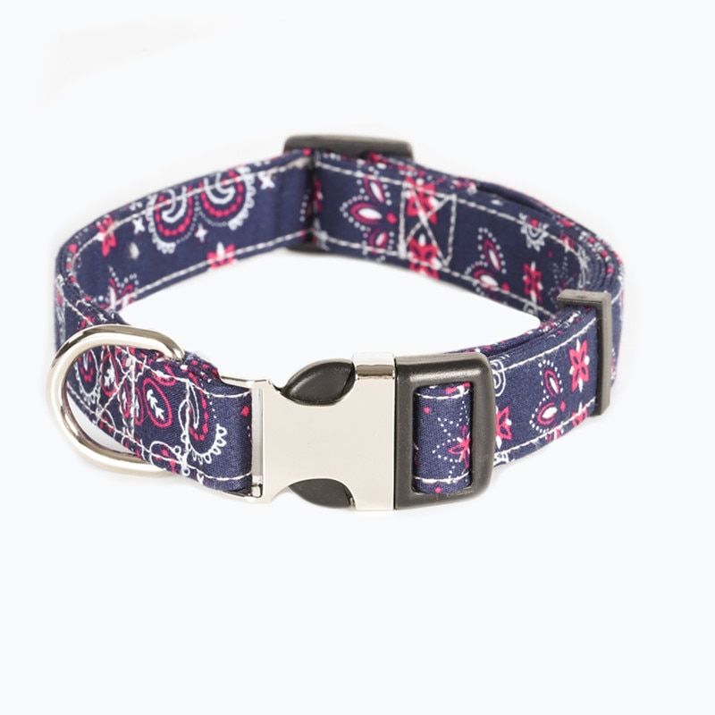 Collar 7-M -2021 Collier De Chien Personnalisé Personnalisé Nom De Chien Étiquette D'identification Correspondant Chien Laisse De