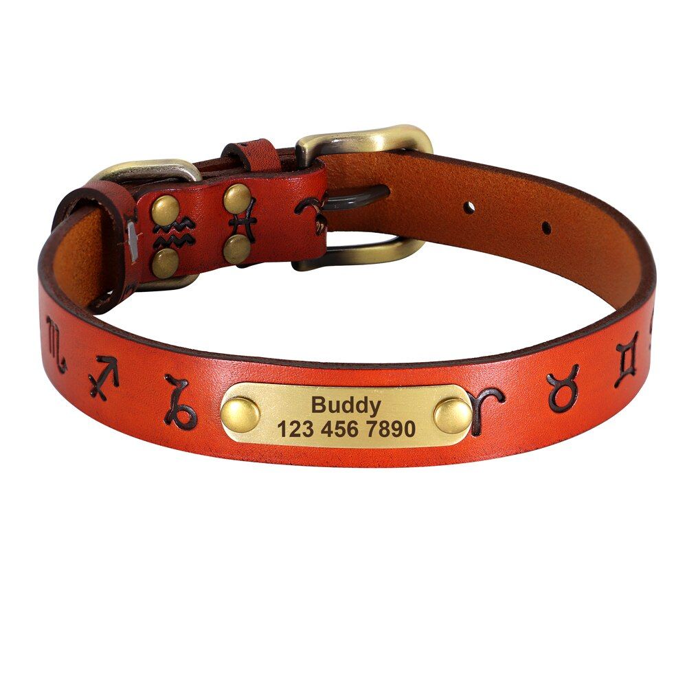 Light Brown-L -Collier D'identification De Chien En Cuir Véritable, Colliers Pour Animaux De Compagnie Avec Étiquette Personnalis