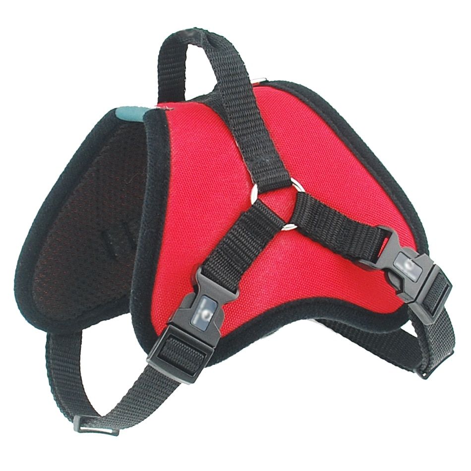 Red-S -Harnais Pour Animaux De Compagnie, Gilet, Collier En Maille Respirant, Accessoires Pour Chiens, Rembourré, Réglable, Accessoi
