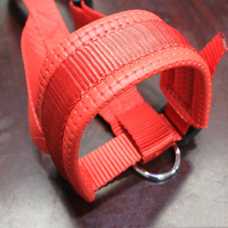 A-Mouth Girth 18-30cm -Muselettes Pour Petits Chiens, Museau Anti Aboiement Pour Chiots, Mastication, Mastication, Produits D'ent