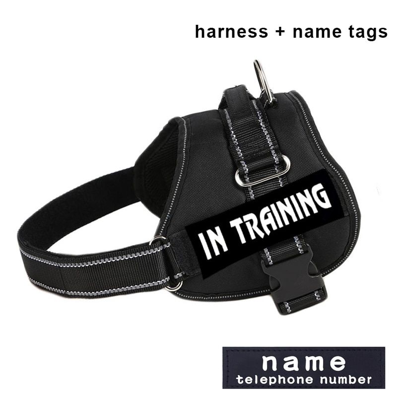 Black With Tags-L -Nylon Réfléchissant Chien Harnais Personnalisé Nom Étiquettes Respirant Chien Harnais Laisse Ensemble Collier De