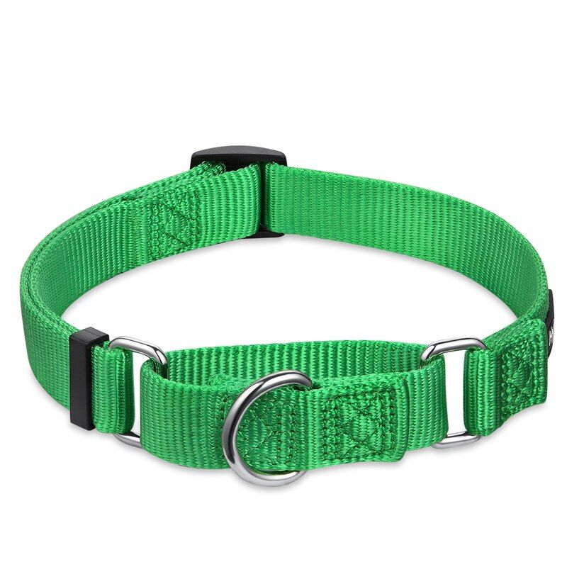 Lime Green-S 1.5cm27-36cm -Hy116 Perro ? Collier D'entraînement En Nylon Pour Chien, Réglable, Martingale, Marche, Traction, Pour