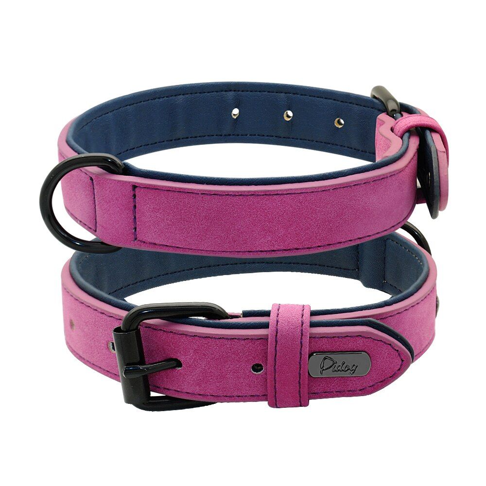 Violet-M -Collier Pour Chiens En Cuir Souple Rembourré, Pour Petits, Moyens Et Grands Chiens S, M, L, Xl, Xxl, Pour Pitbull Labrador