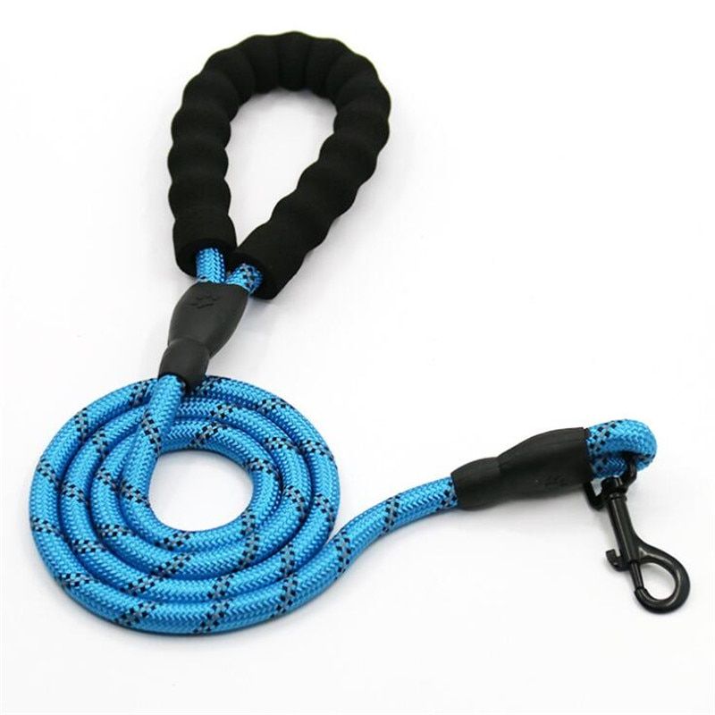 Bleu-1.2cmx150cm -Lumineux Belle 1.5m Nylon Boucle De Sécurité Chien Laisse Pour Animaux De Compagnie Offres Spéciales 06