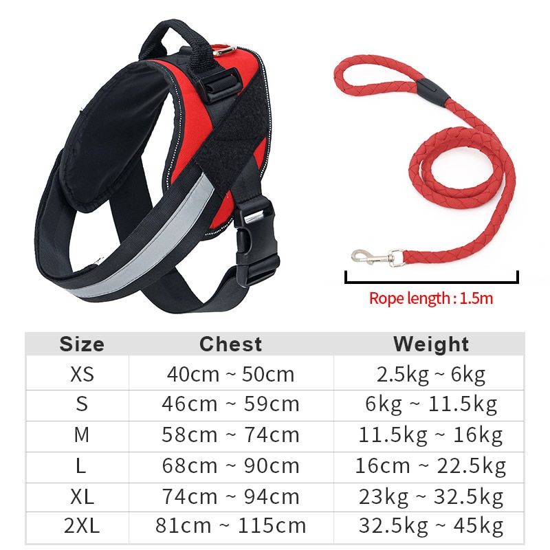 Red Set-M -Hoopet Harnais D'animaux Pour Chiens  En Nylon Robuste, Collier Ajustable Très Grand Moyen Petit Chien, Fournitures P