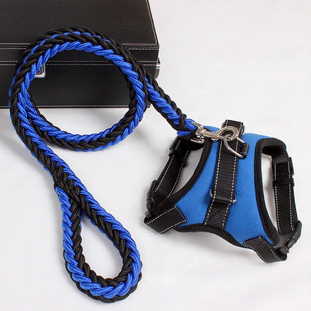 Blue Set-M -Solide Chien Harnais Gilet Marche Et Formation Harnais Pour Animaux De Compagnie Et Laisse Ensemble Réglable Chiens Coll