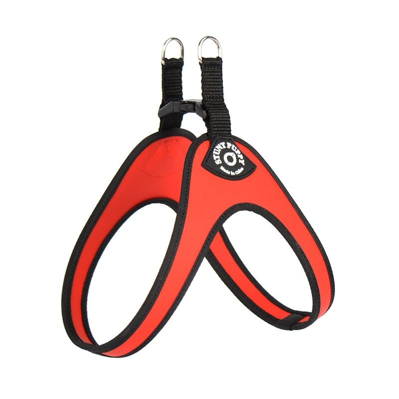 Red-Size4.0 (9-14kg) -Stunt Puppy Liberty Boucle Pas À Pas Petits Chiens Chien Harnais Chihuahua Shih Tzu Bouledogue Boston Terrier