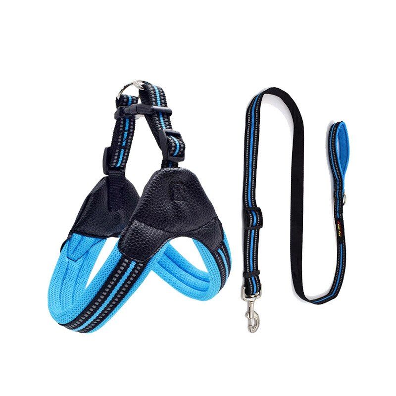 Blue Set-L -Ensemble De Harnais Et Laisse En Nylon Respirant Pour Chien, Accessoire Réfléchissant, Collier Pour Animaux De Compagnie