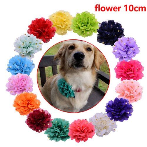 Mix Clolur -Chaud! Enlever Les Breloques De Collier Pour Animaux De Compagnie 30 Pièces Collier De Chat Pour Animaux De Compagnie