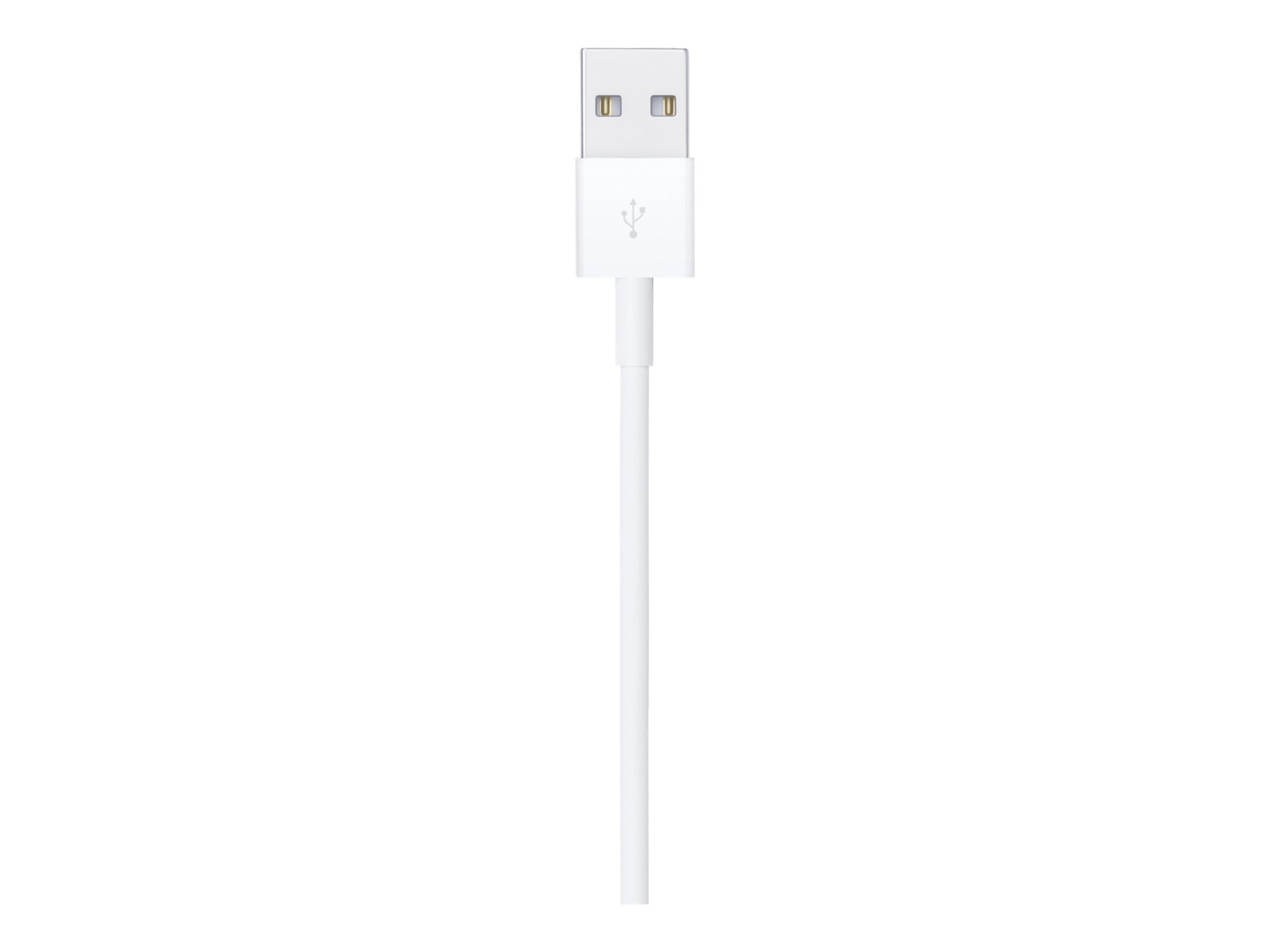Apple - Câble Lightning - Lightning mâle pour USB mâle - 1 m