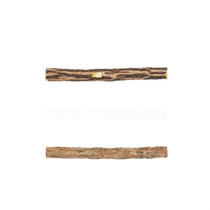 Bâtonnets De Dentifrice Pour Chat, En Forme D'herbe À Chat, Matatabi, Actinidia, Fruit, Argentée, 2 Pcs