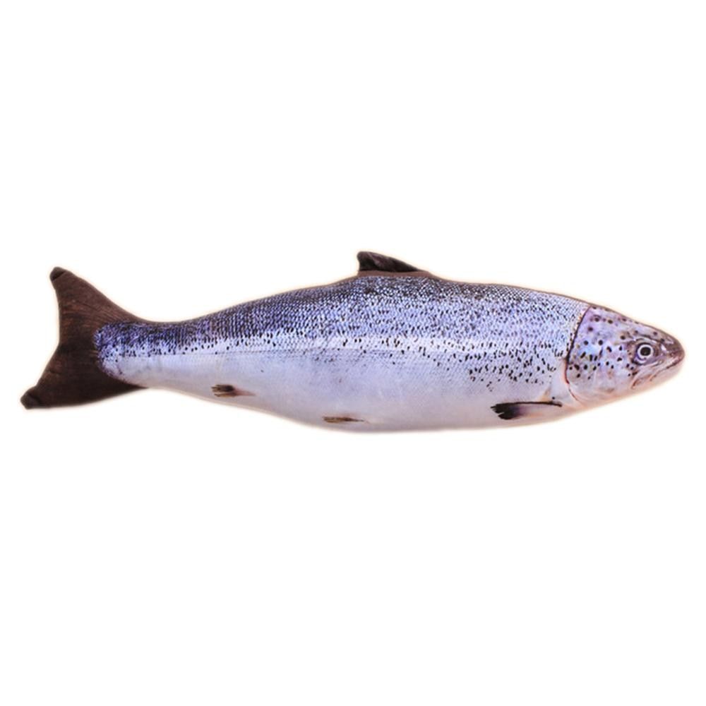 Chat Poisson Forme Sisal Chanvre Jouet Pour Chats Chaton Menthe Faveur Poisson Jouets En Peluche Pla D 20cm