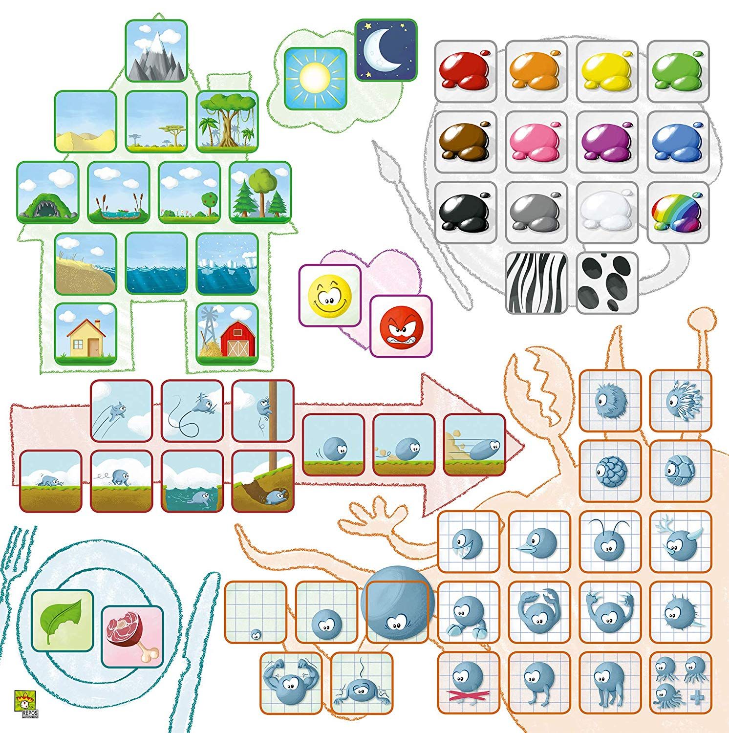 Concept Kids Animaux Asmodee - vue 7