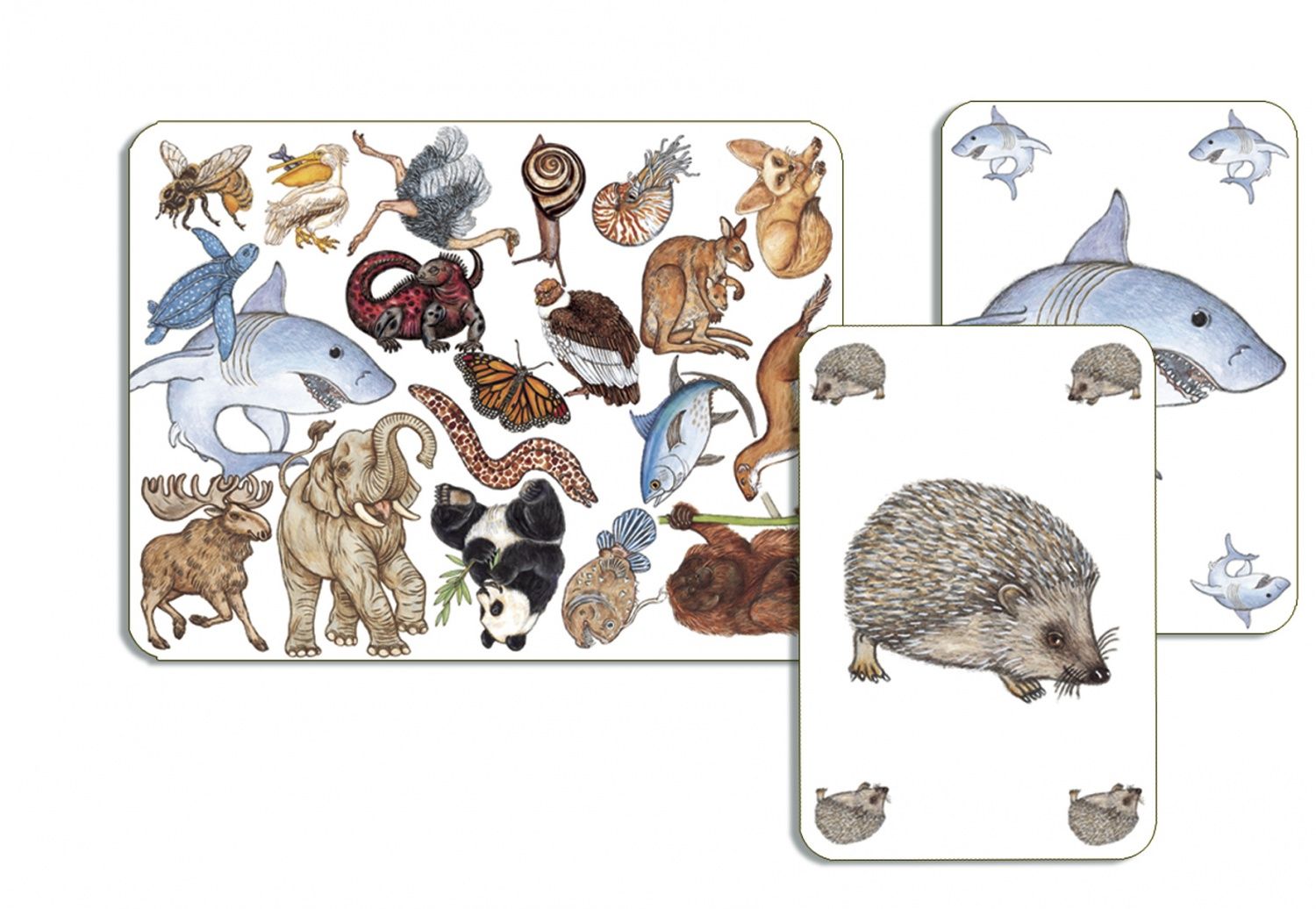 Jeu d'observation Zanimatch pour enfants de 5 à Neuf - vue 2