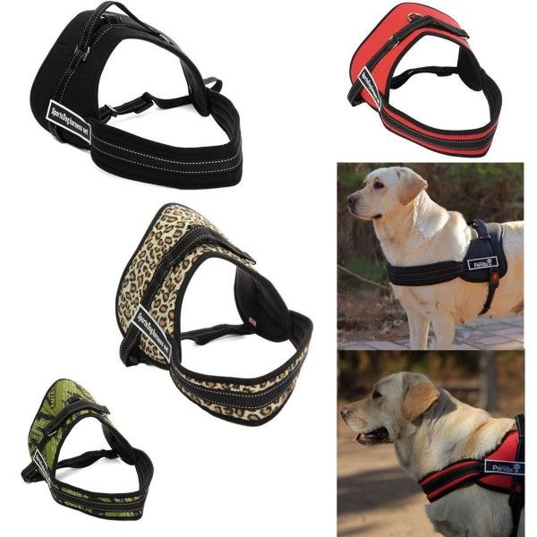 Trade Shop - Harnais Chien Harnais Ceinture Harnais Chien Harnais Dressage Xxl