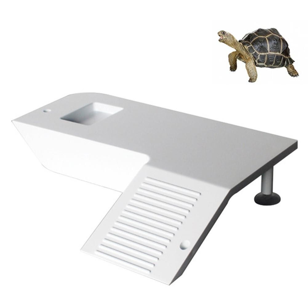 Tortue, Grenouille Flottante, Animaux De Compagnie, Reptile, Fournitures D'aquarium, Ornement, Tortue, Niche, Aquarium