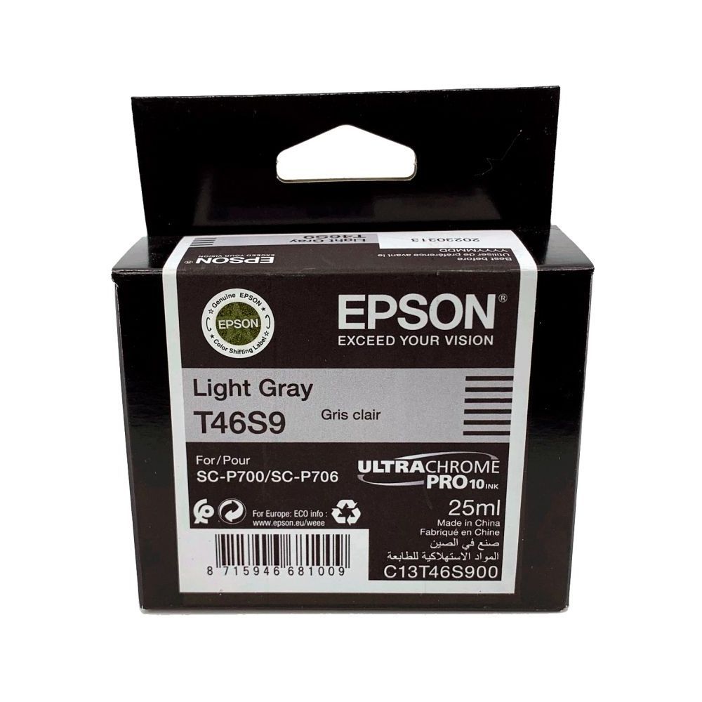 Epson Singlepack Gray T46S9 UltraChrome Pro 10 ink