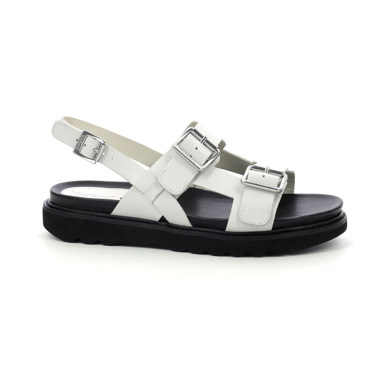 neosummer-40-rakuten-3612886020965