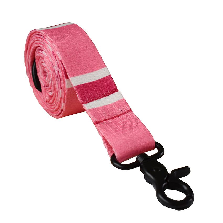 Harnais Souple Et Réglable Pour Chien,15 Types De Couleurs,Laisse Pour Petit Et Moyen Animal De Compagnie,Collier D'entraînement À La Marche En Plein Air - Type Dog Leash-S #E