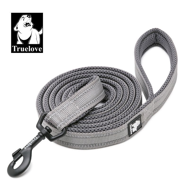 Laisse En Nylon Souple Pour Chien,Accessoire À Double Tours,Réfléchissant,Entraînement À La Marche En Toute Sécurité,Tll2112 - Type Grey-L 2.5cmx200cm