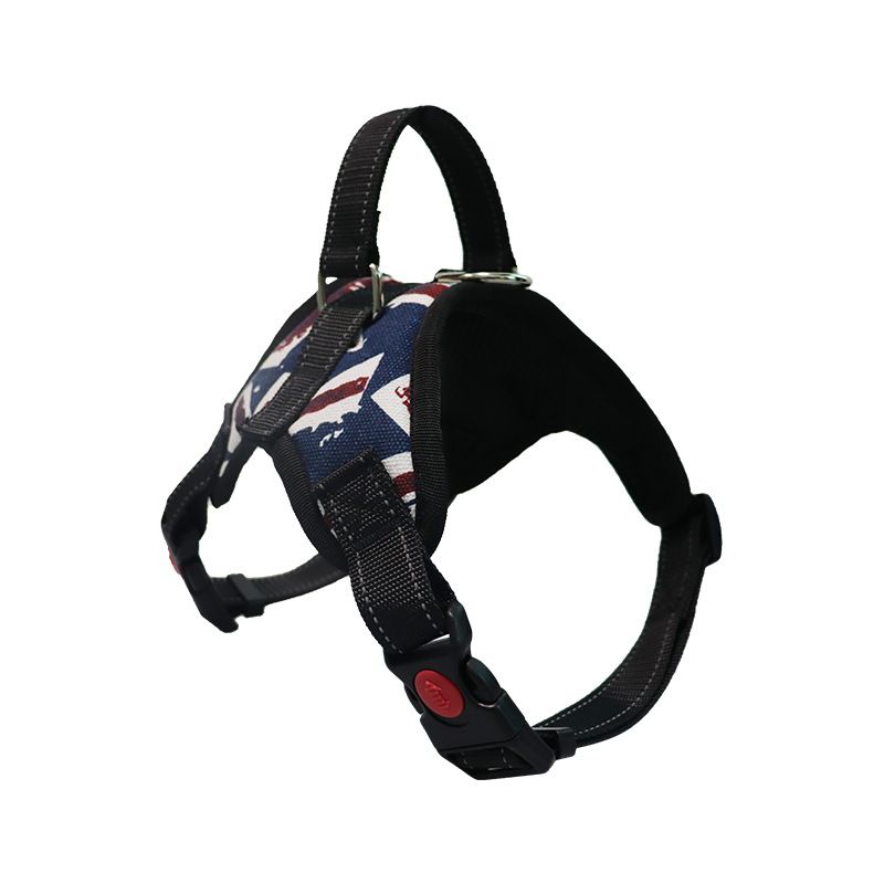 Laisse Réglable Sfp Pour Petits Et Grands Chiens,150cm,Pour Le Bain - Type British Flag Colors-Xs
