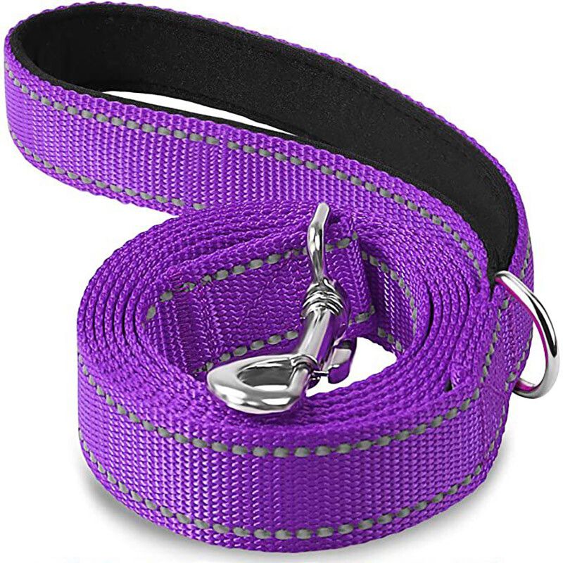 Corde De Sécurité Coulée Pour Chien Et Chat,Ceinture De Plomb Pour Animal De Compagnie,Lanière D'entraînement En Plein Air,Produit Pour Petits,Moyens Et Grands Chiens - Type Violet-2.5x150cm
