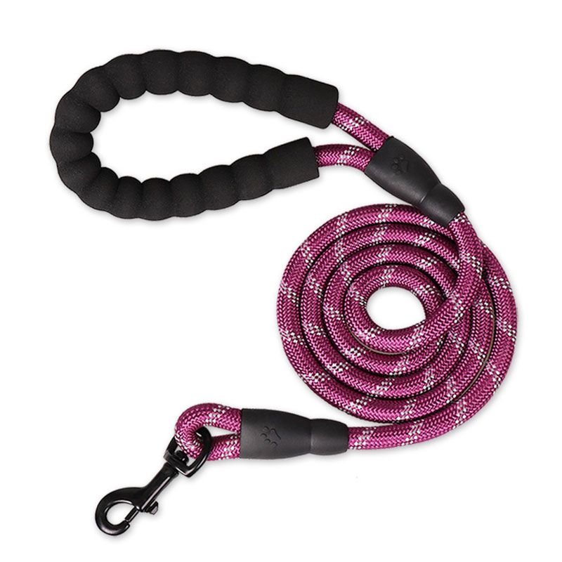 Laisse De Coulée Pour Animaux De Compagnie,Golden Retriever,Vpn Sion Verde,Poinçonnage,Sfp,150 Cm,200 Cm,300cm - Type Pruple-1.2cm 200cm