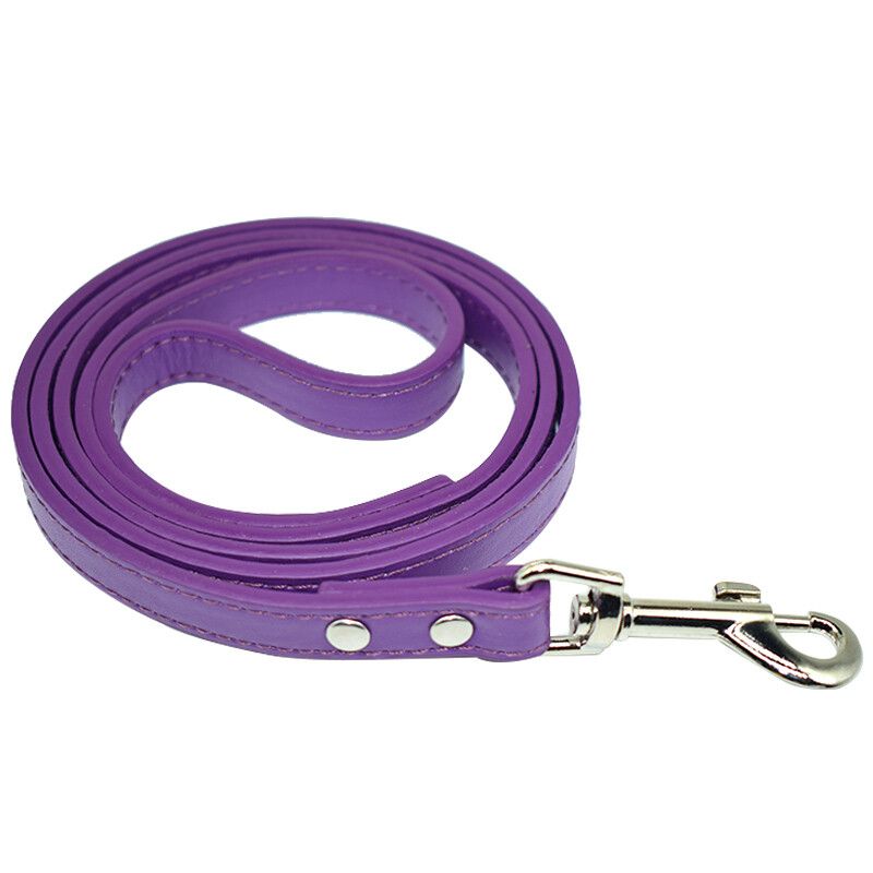 Collier Et Laisse En Cuir Pu Pour Animaux De Compagnie,Ulsolide,Ceinture De Course Pour Bouledogue,Chiot,Chat,Laisses De Plomb Sfp Pour Petits Chiens - Type Violet-2.0 X 120 Cm