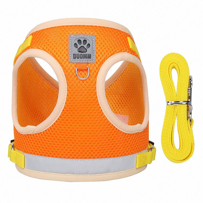 Ensemble Sfp Et Laisse Pour Chiens De Petite Et Moyenne Taille,Sangle De Poitrine Pour Chiot,Coulée De Sécurité Pour Chat,Harnissan,Chihuahua,Bouledogue,Pdpp - Type Orange-Xs