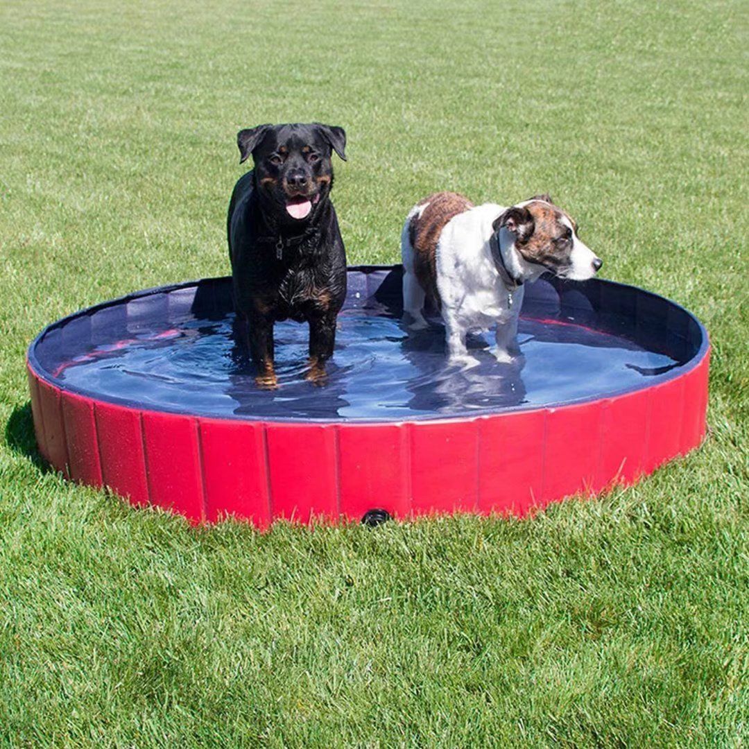 Comparer les prix de Piscine Pour Chiens Forever Speed, Piscine Pour Chiens, Piscine Pour Chats, Piscine Pliable, Baignoire Pour Enfants, Pvc Écologique, Antidérapant, Animaux Bien Scellés, Cadeaux Pour Enfants (80 * 20cm) Rouge