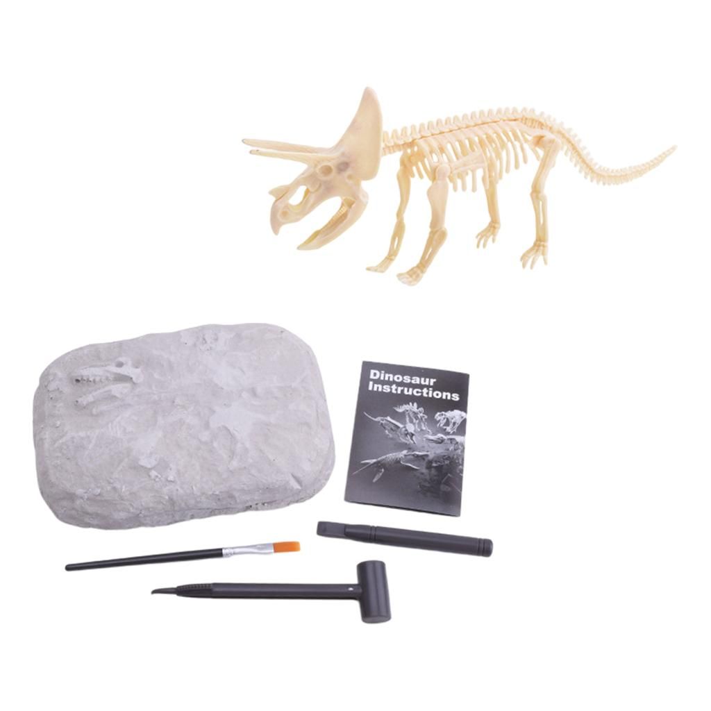  - Kit D'excavation De Squelette De Dinosaure Activité De Paléontologie Et D'archéologie Fouille De Fossiles Pour Les Passionnés Dragon Sans Lunettes