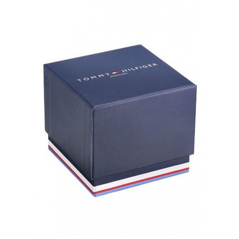Tommy Hilfiger Adrian Montre Homme Acier Dor? Cuir 1710466
