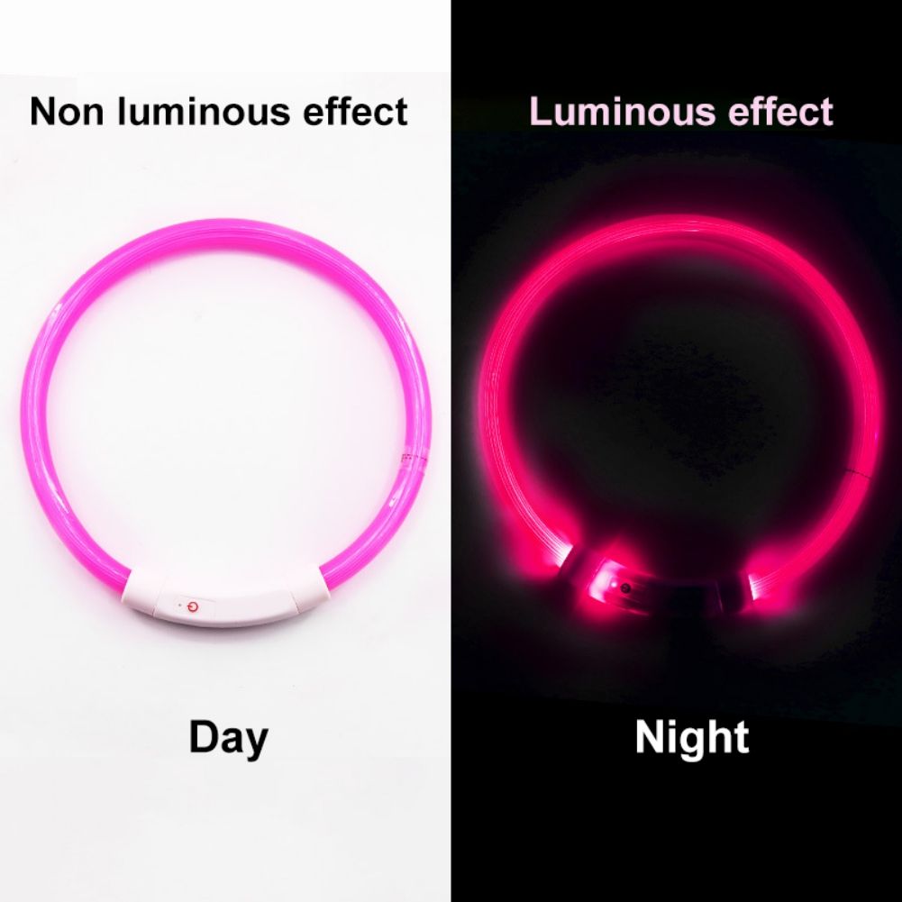 Collier Lumineux Avec Chargeur Usb Pour Chien, Accessoires Pour Animaux De Compagnie, Led, Rechargeable, Sécurité Nocturne, Clignotant