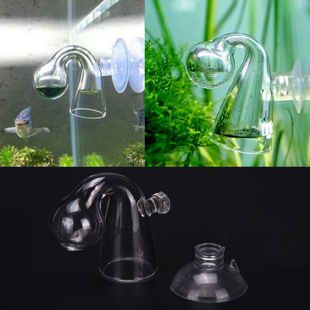 Testeur De Co2 Pour Aquarium, 1 Pièce, Testeur De Gouttes De Verre Avec Ventouse, Accessoire Pour Plantes D'Aquarium, Offre Spéciale