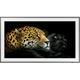 TV Samsung The Frame 50" QLED Qe50Ls03A Noir 2021