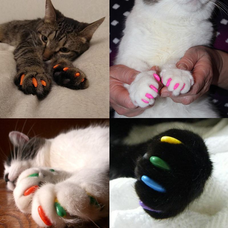 Jouet, Light Pink-M--Capuchons De Griffes De Chat En Silicone, Avec Colle, Colorés, Doux, Accessoires, Cadeaux