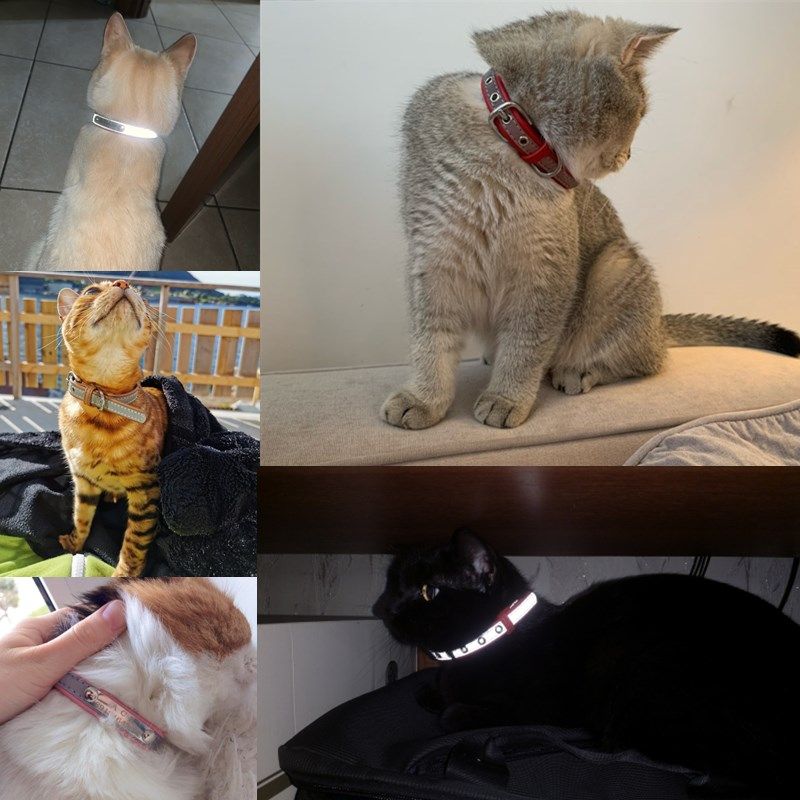 Jouet, Purple-L--Collier De Chat En Cuir Réfléchissant Personnalisé Collier De Carte'identité Personnalisé Gravure Nom Numéro De Télé