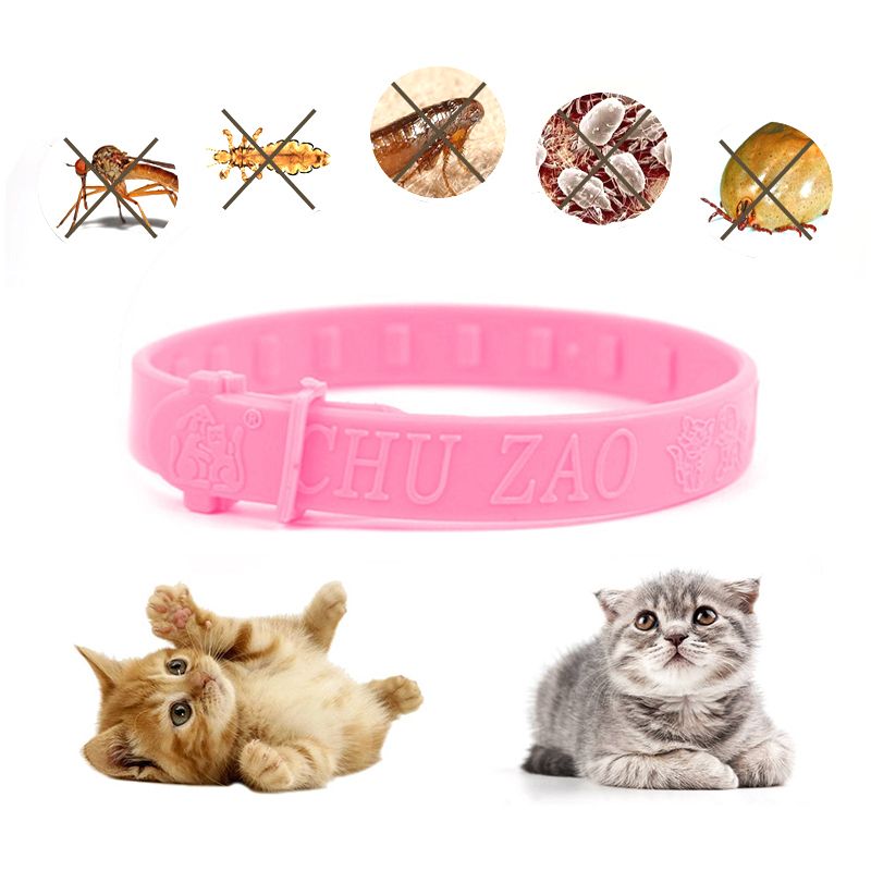 Collier Pour Chien Et Chat, Protection À Long Terme, Anti-Puces, Acariens, Poux, Insecticide, Accessoires Pour Animaux De Compagnie, Réglable, Pour L'extérieur