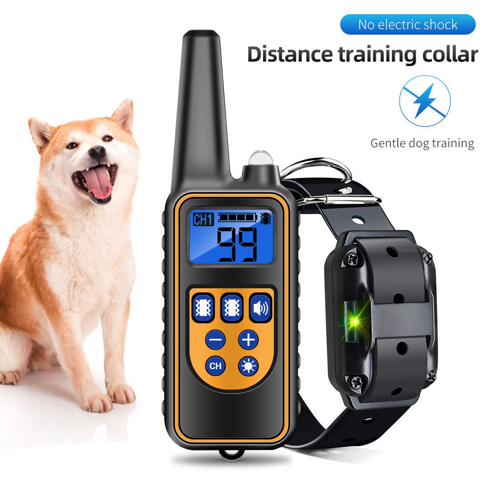 Collier D'entraînement Pour Chien Sans Choc Électrique, Télécommande À 800m, Étanche, Écran Lcd Rechargeable, Mode Bip Et Vibration Pour Toutes Les Tailles