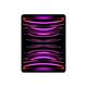 Tablette Apple iPad Pro M2 (2022) 12.9' Wi-Fi + Cellular 512 Go Gris sidéral product image